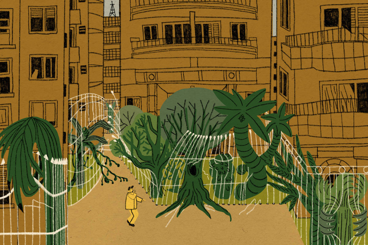 Illustration